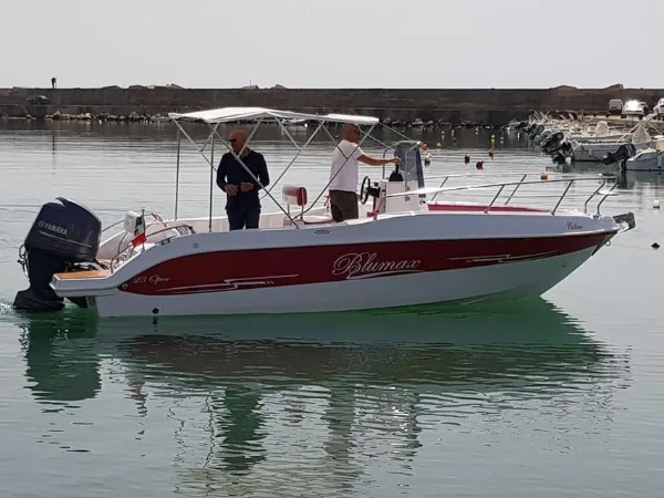 Blumax 19 Pro Nemo boat image