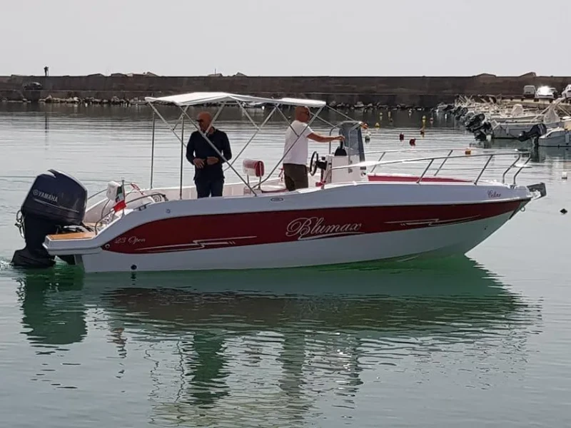 Blumax 19 Pro Nemo boat image