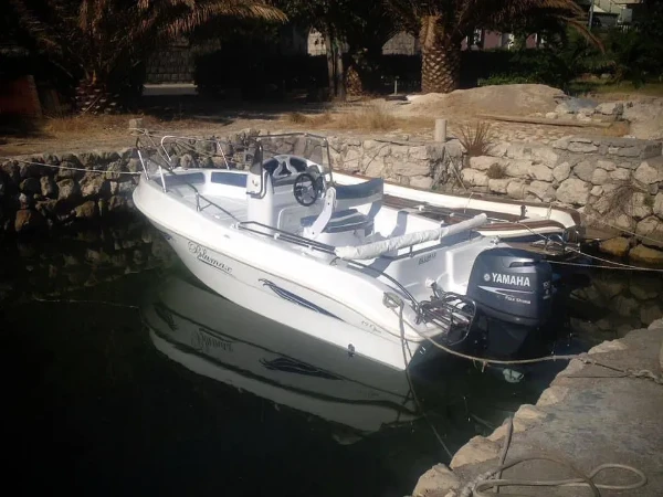 Blumax 19 Pro Beaje - Diva boat image