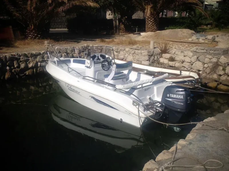 Blumax 19 Pro Beaje - Diva boat image