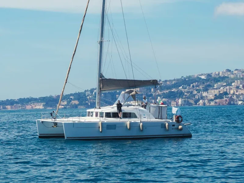 Lagoon 440 Marlin boat image
