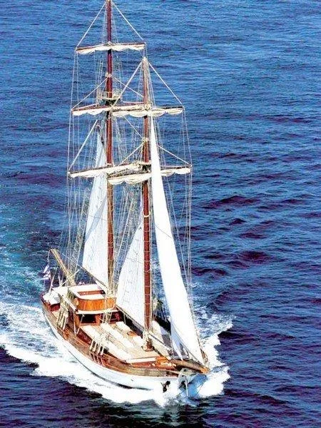 Image slide 119072