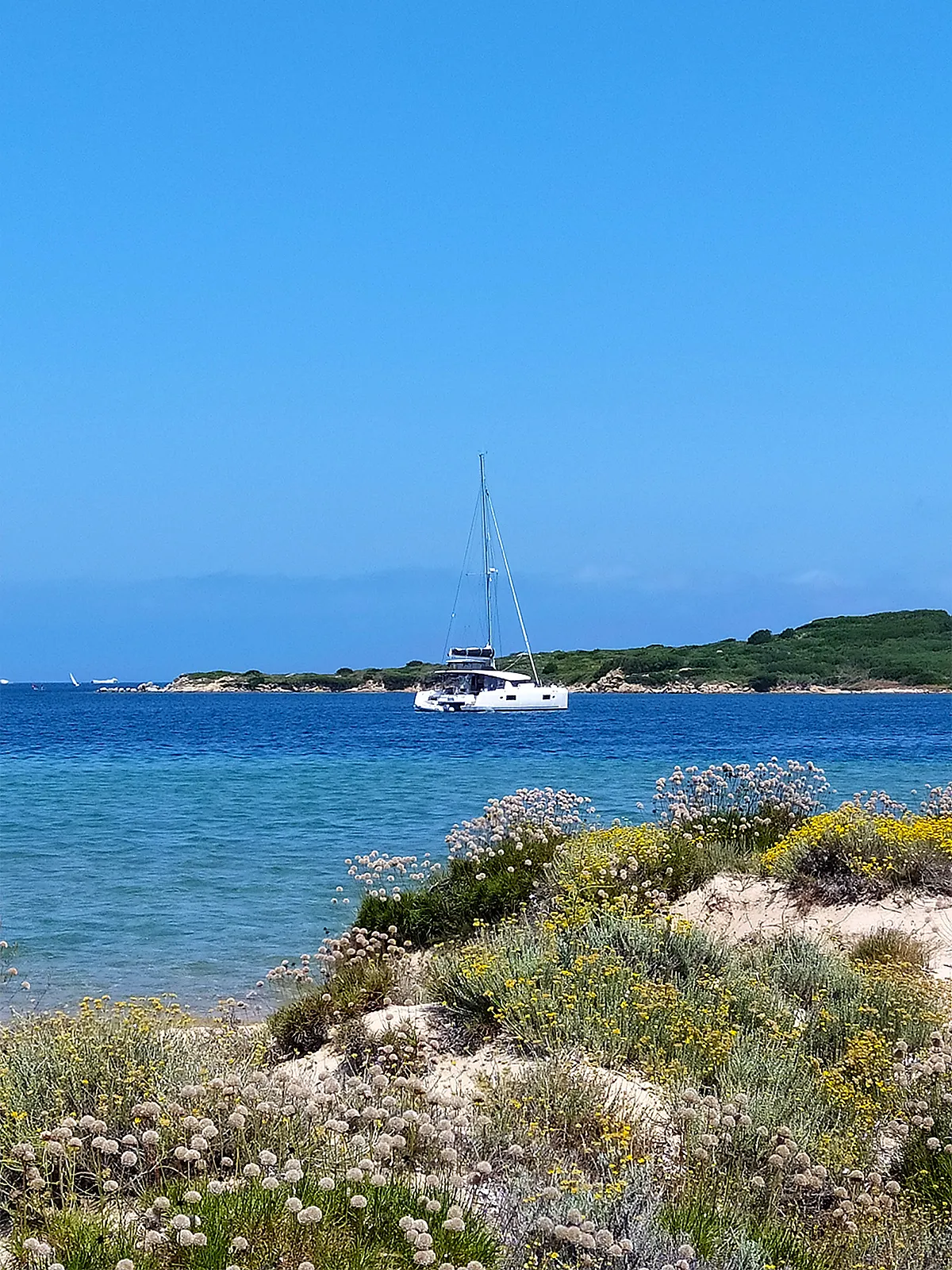Image slide 125821