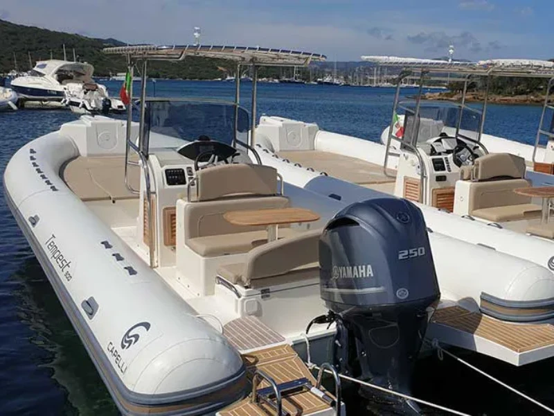 Tempest 900 Maxi Rib boat image