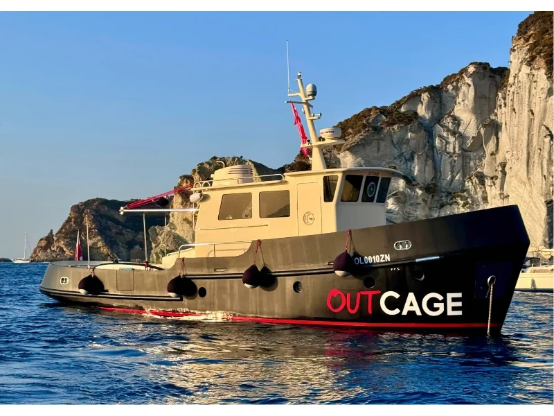 Motorboat Lupo boat image