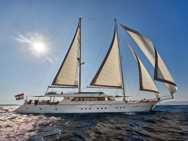 Motor sailer Lady Gita boat image