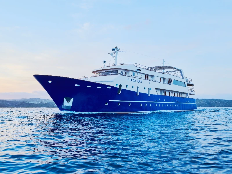 Motoryacht Lupus Mare boat image