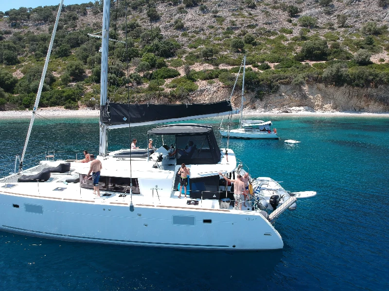 Lagoon 450 Fly EVI boat image