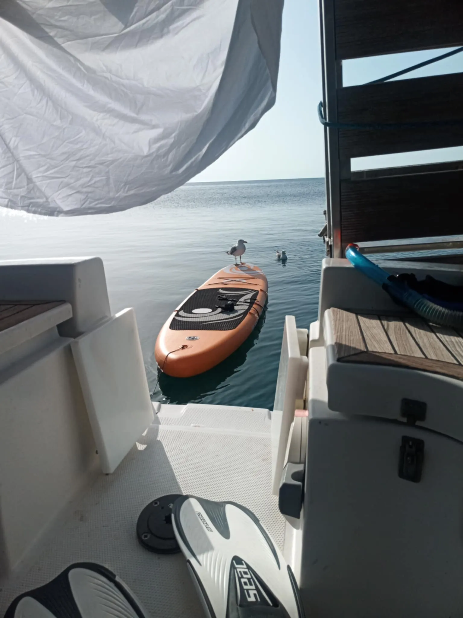 Image slide 146280