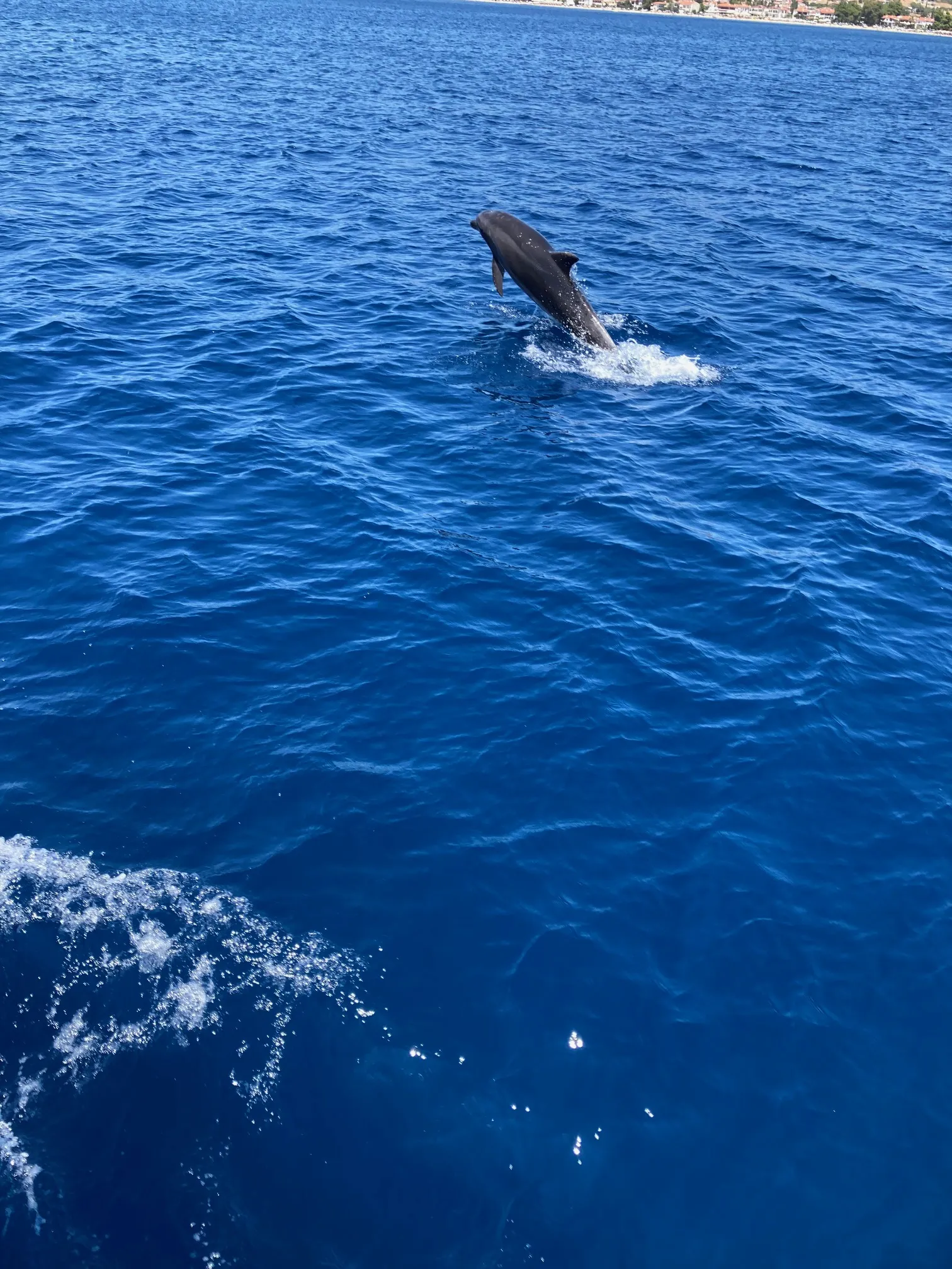 Image slide 146297