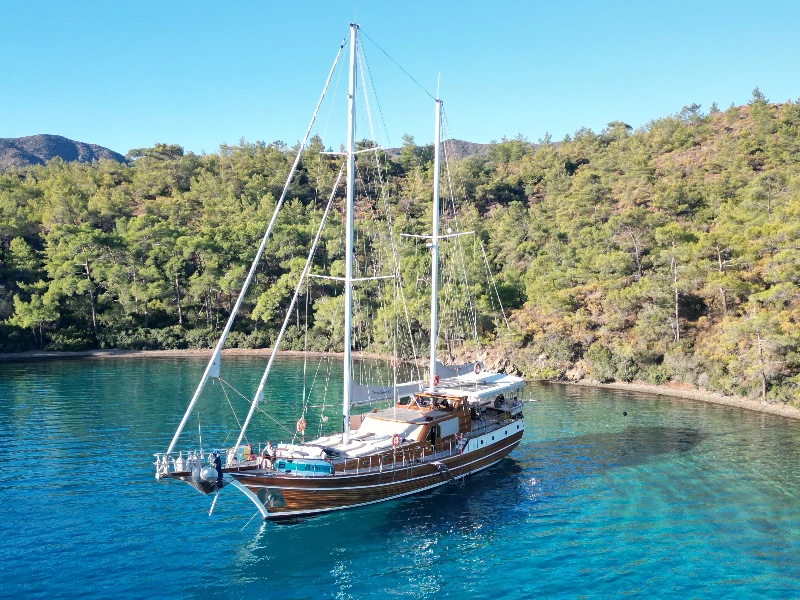 Gulet Carpe Diem XI boat image