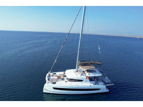 Bali 4.2 North Cat 42 boat image