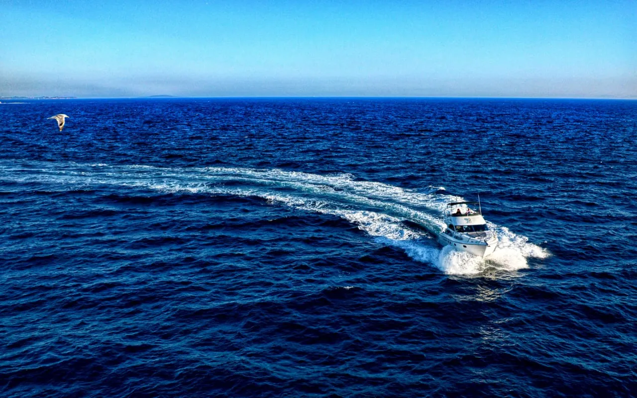 Image slide 153026