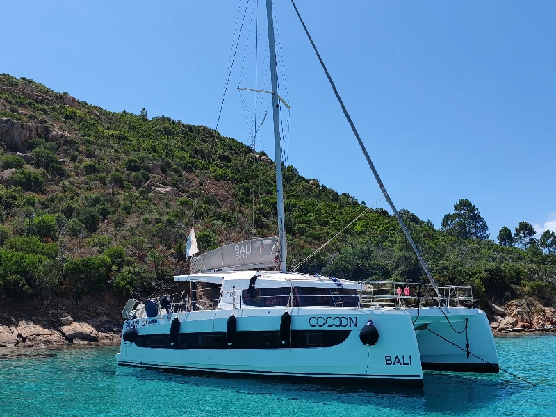 Bali Catsmart COCOON boat image