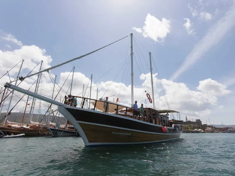 Gulet Harmonia boat image