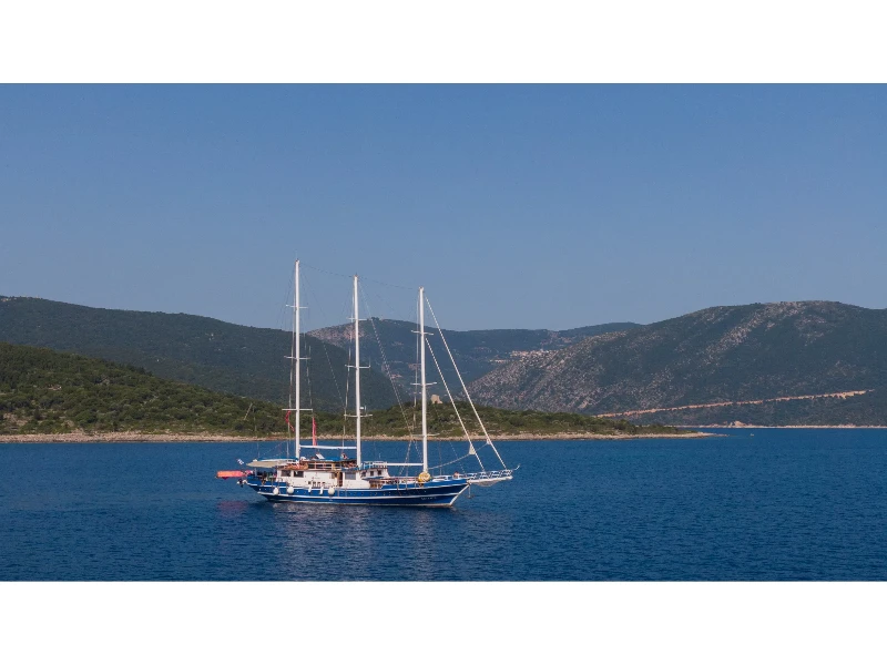 Gulet Artemis boat image