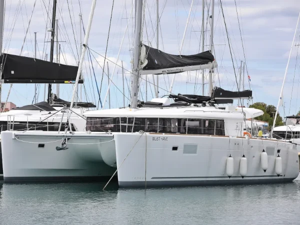 Lagoon 450 MUST HAVE boat image
