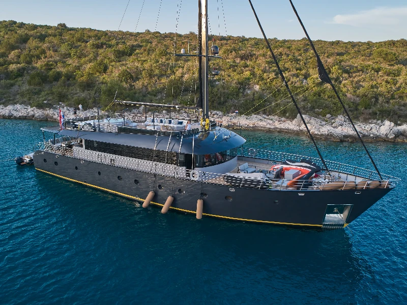 Luxury Sailing Yacht Rara Avis boat image