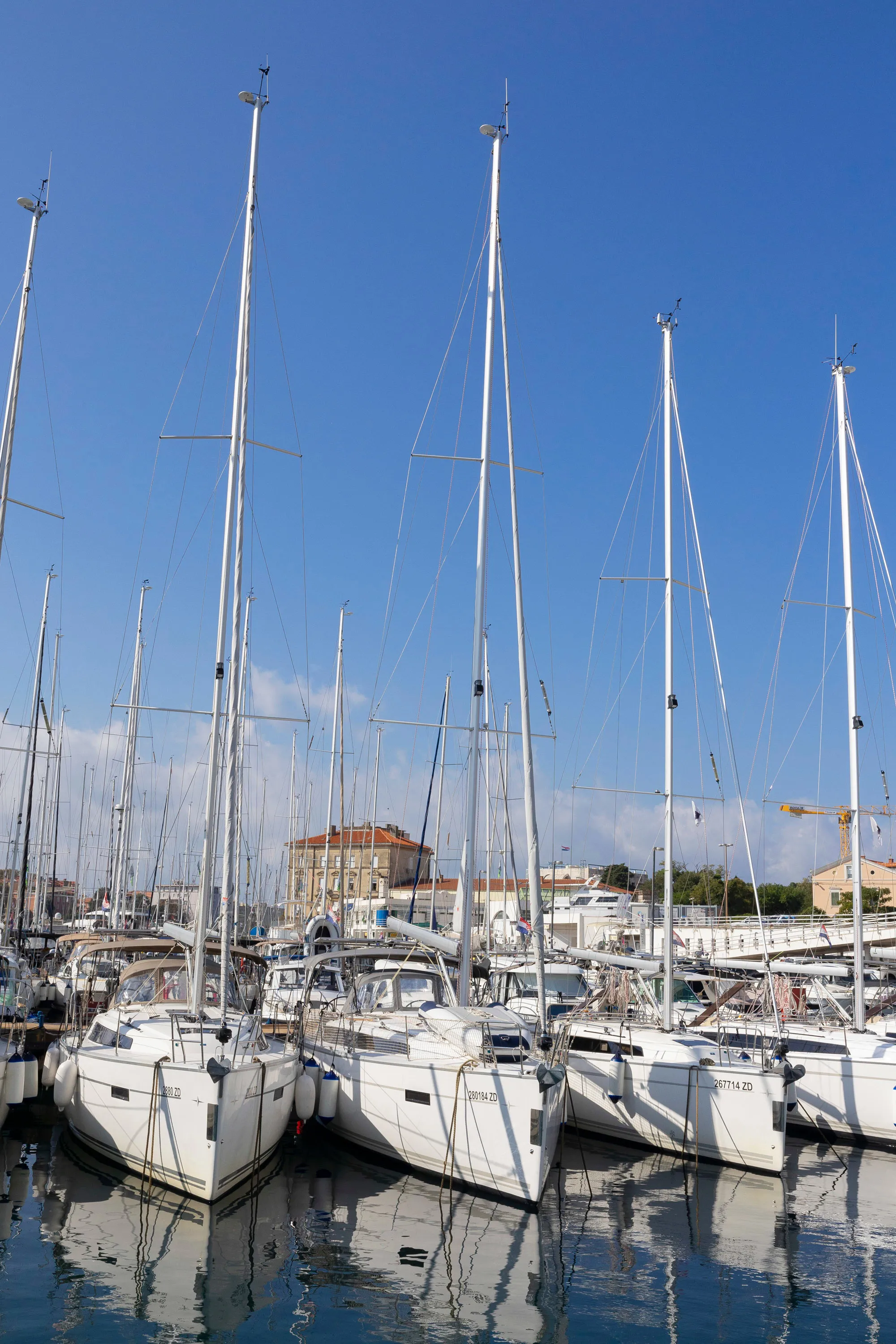 Image slide 203079