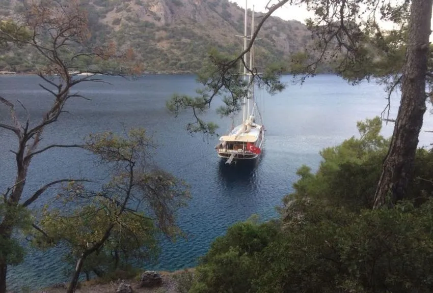 Image slide 21014