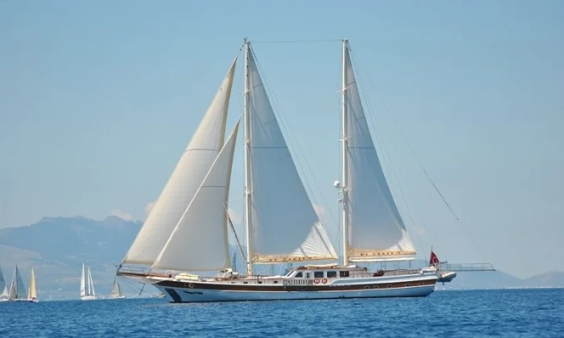 Caner 4 Caner 4 boat image