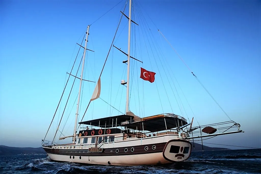 Image slide 21189