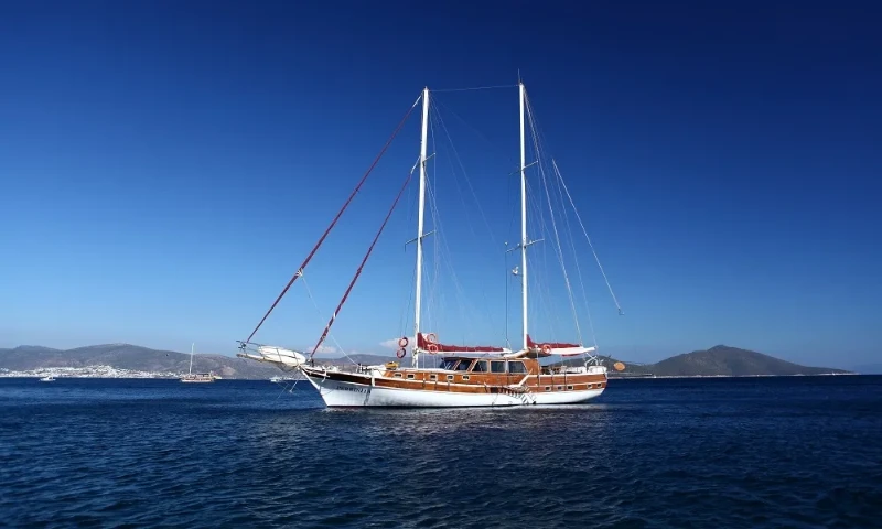Perrinita Perrinita boat image