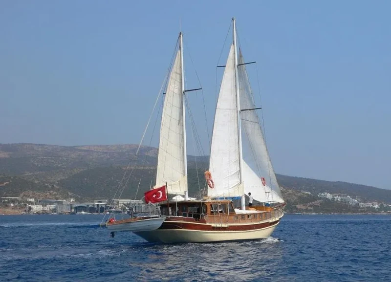 Remo Remo boat image