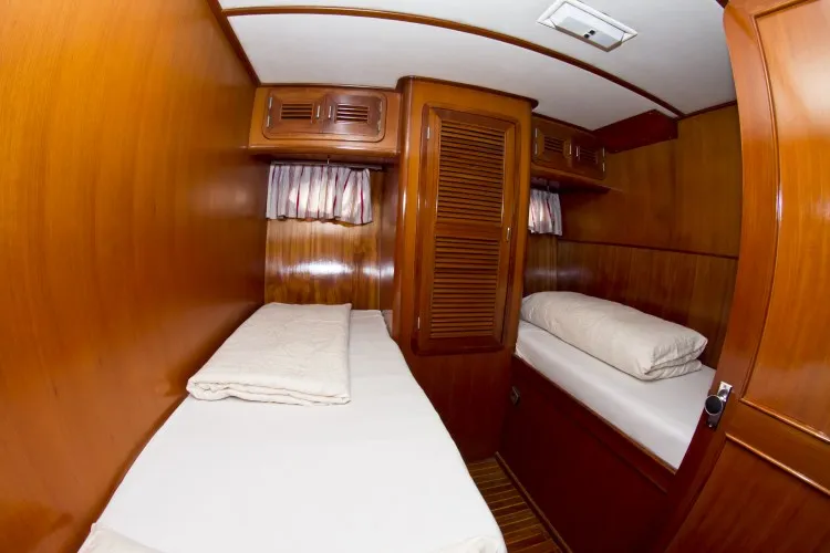 Image slide 213019