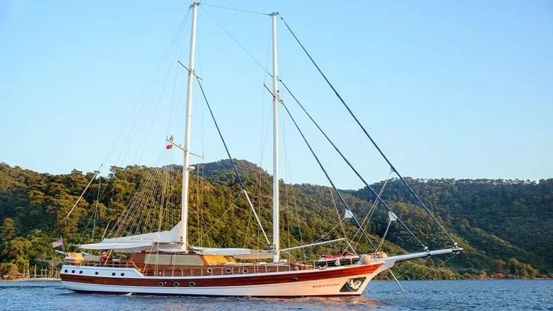 Wicked Felina Wicked Felina boat image