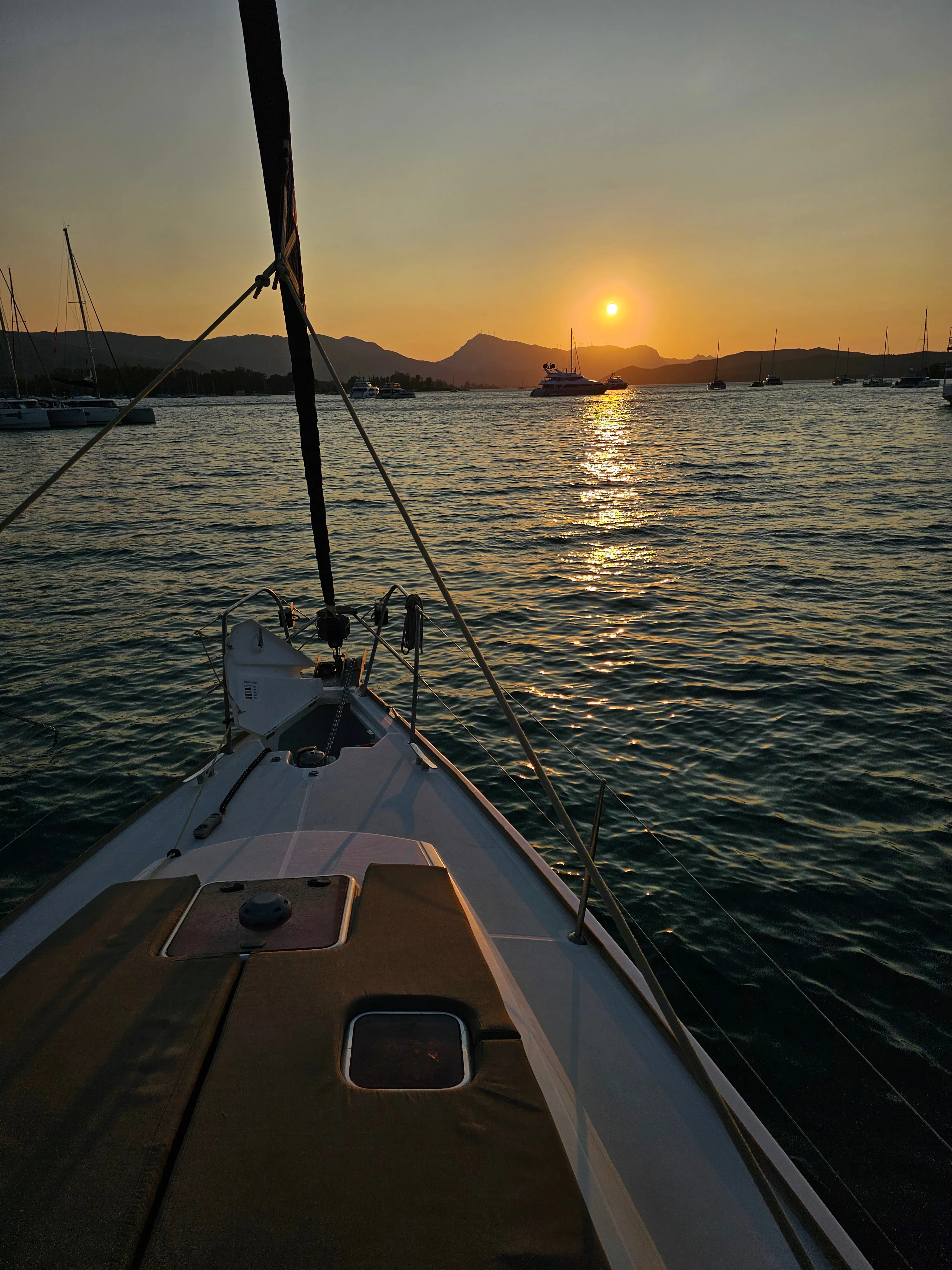 Image slide 236246