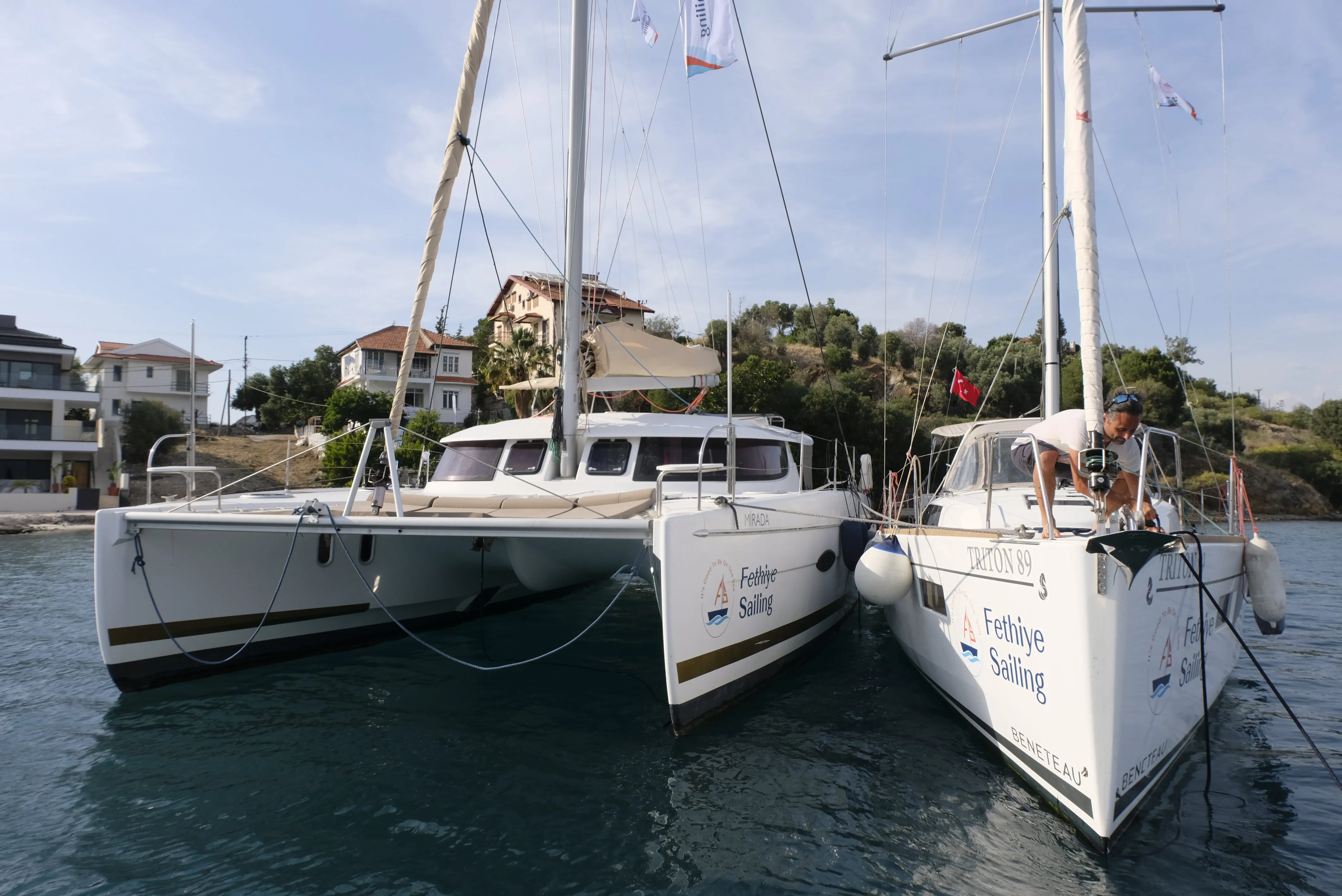 Image slide 241241