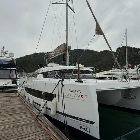 Image slide 241285