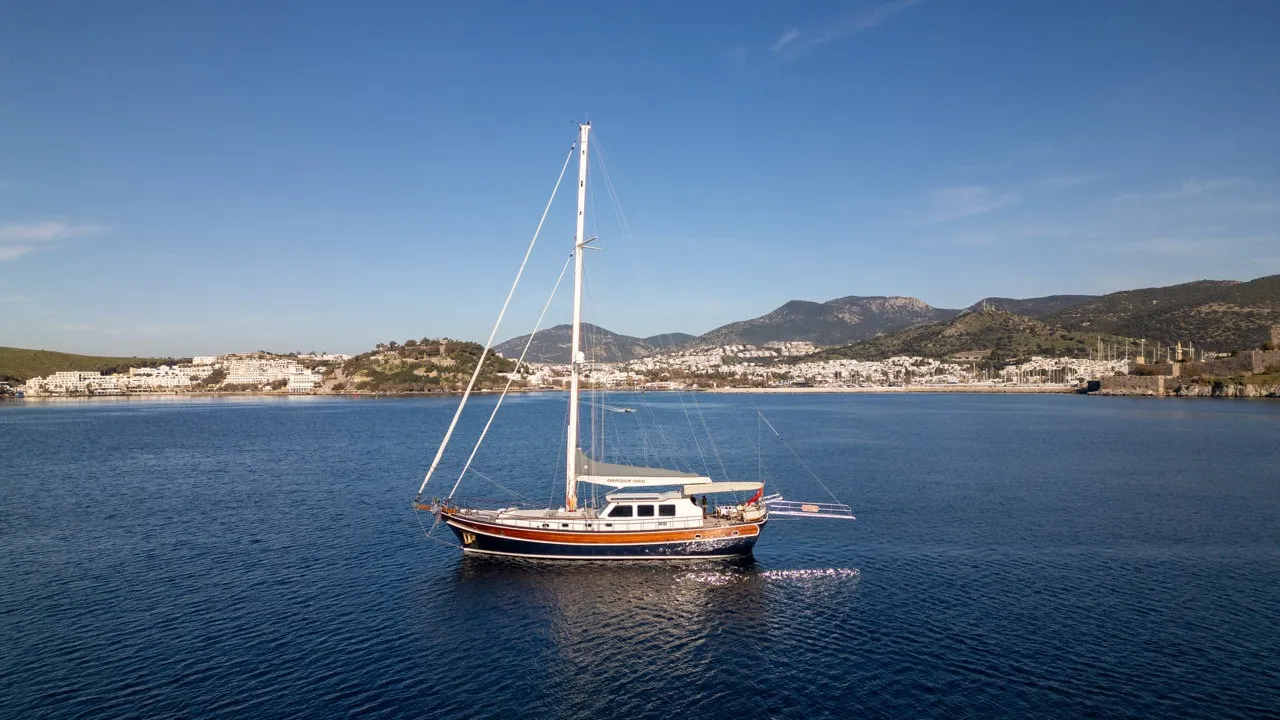 Image slide 242626