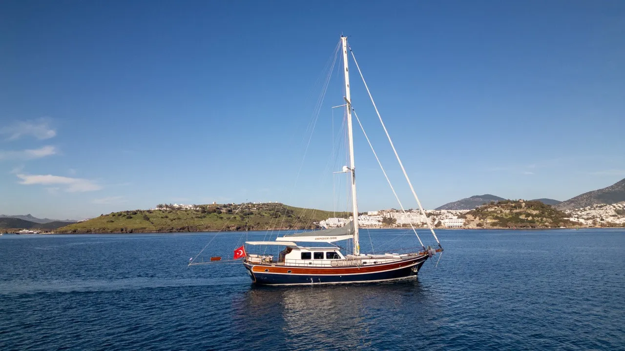 Image slide 242637