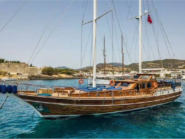 Gulet Carpe Diem XI boat image