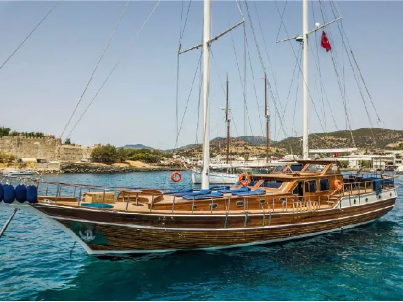 Gulet Carpe Diem XI boat image