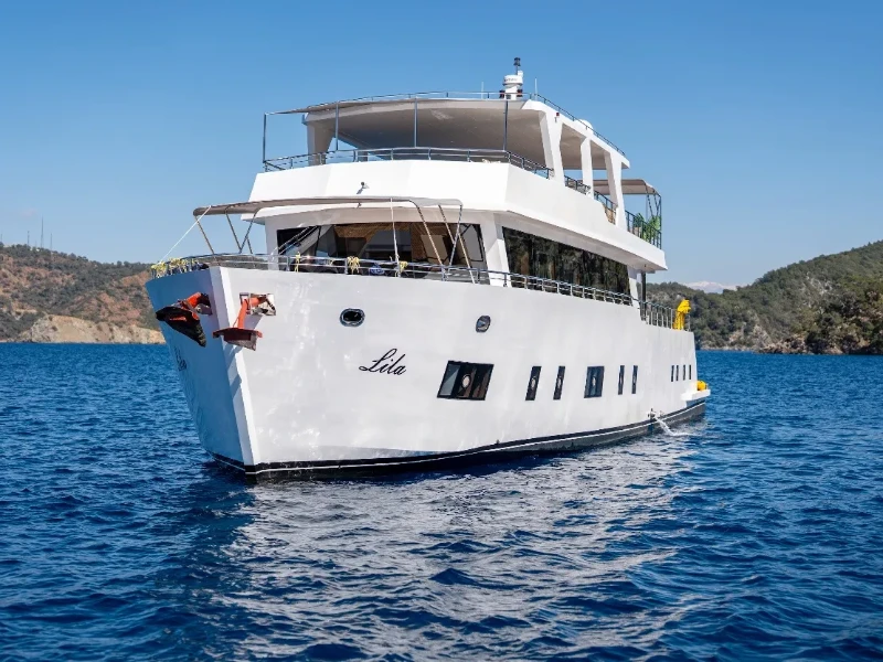 Motoryacht Lila Trawler boat image
