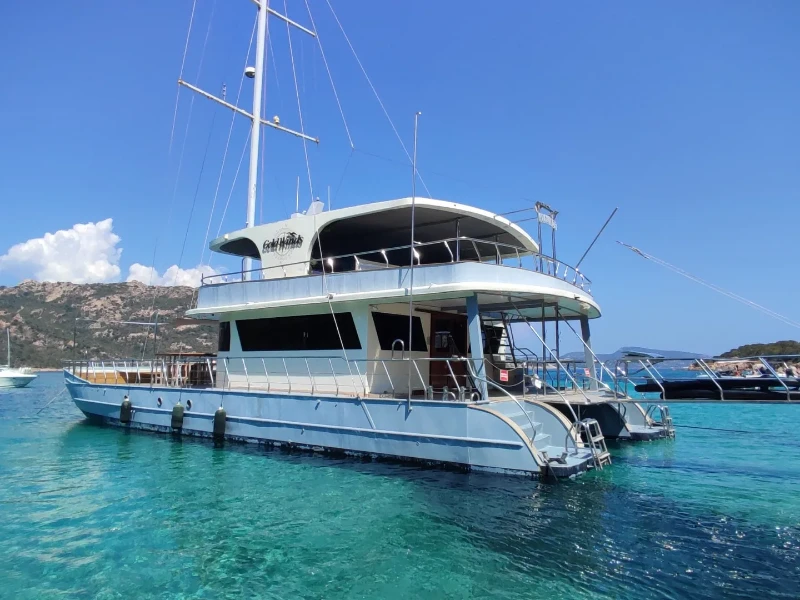 Catamaran Gold Wind boat image