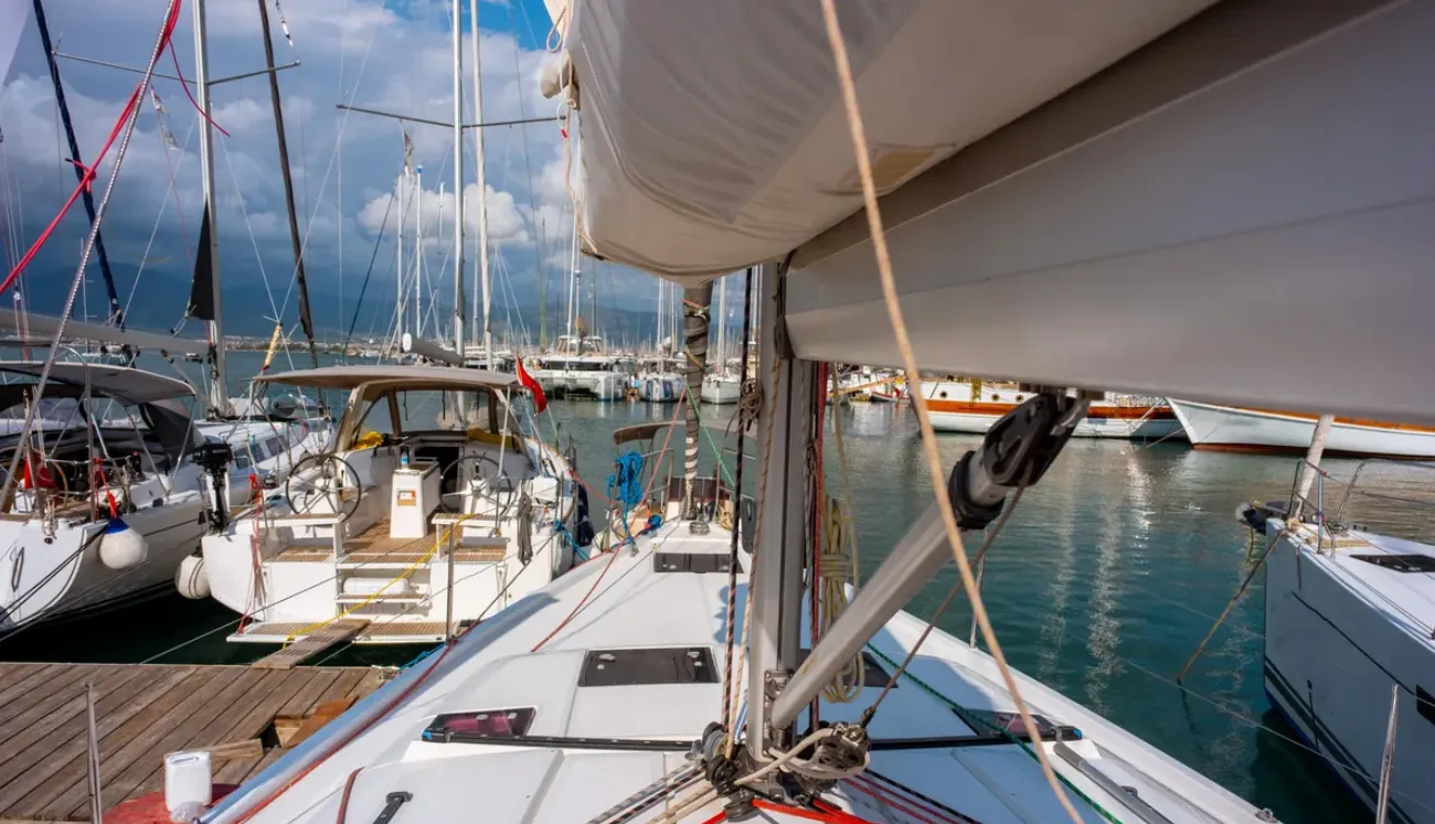 Image slide 262674