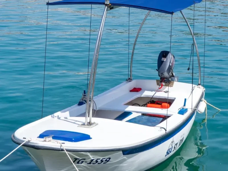 Image du bateau Motorboat Pasara