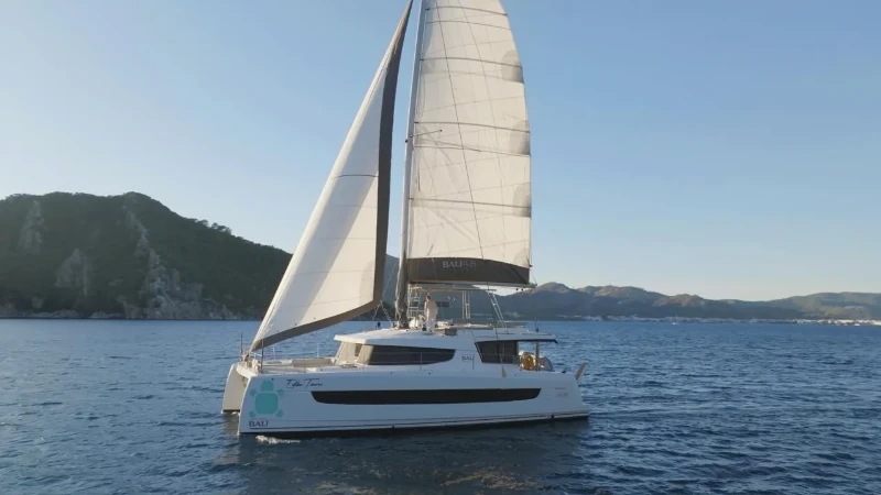 Bali 4.8 Ediba Taurus boat image