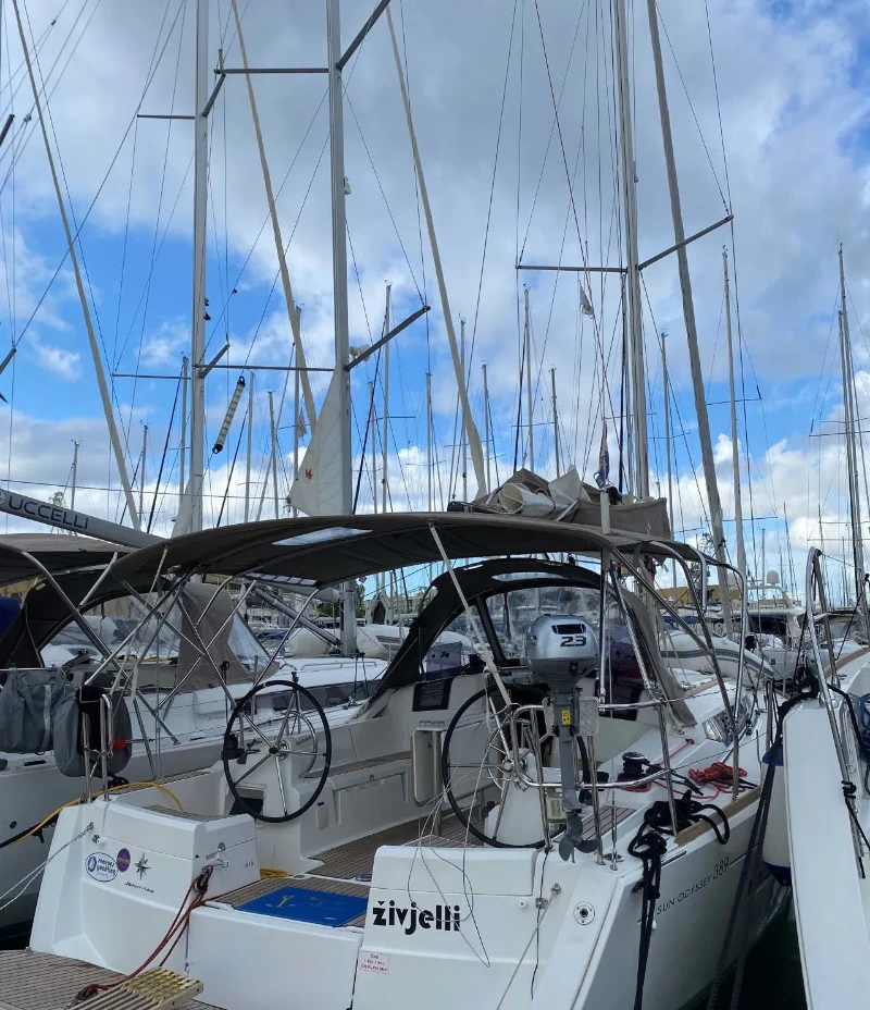 Sun Odyssey 389 živjelli boat image