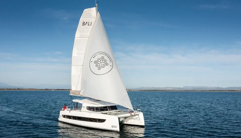 Bali Catsmart Northcat 38 boat image