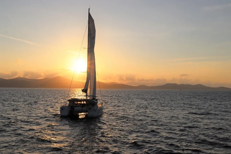 Lagoon 450 S Michelangelo boat image