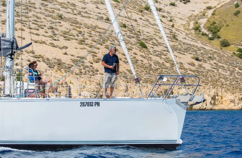 Dolphin 50 Amica boat image