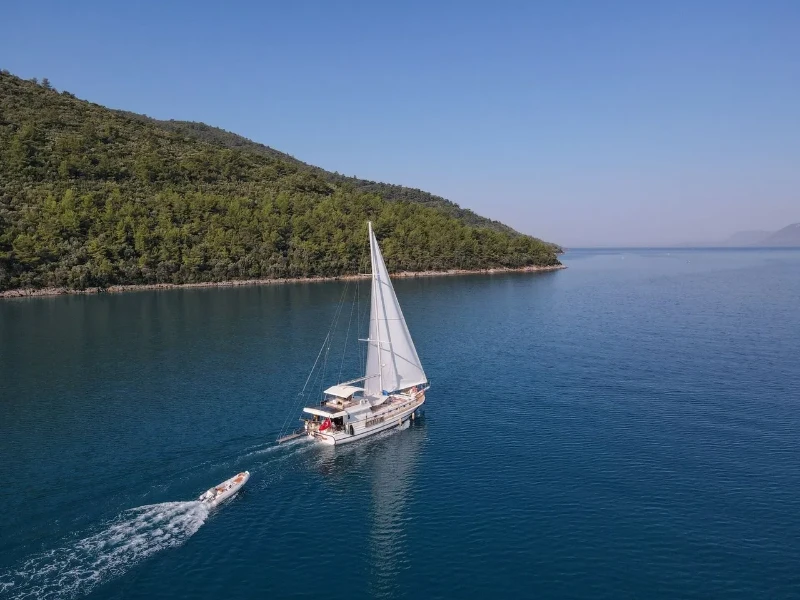 Bernis Bernis boat image