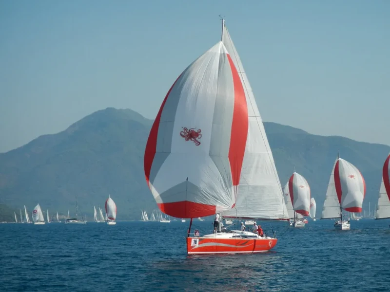 Salona 41 White Butterfly boat image