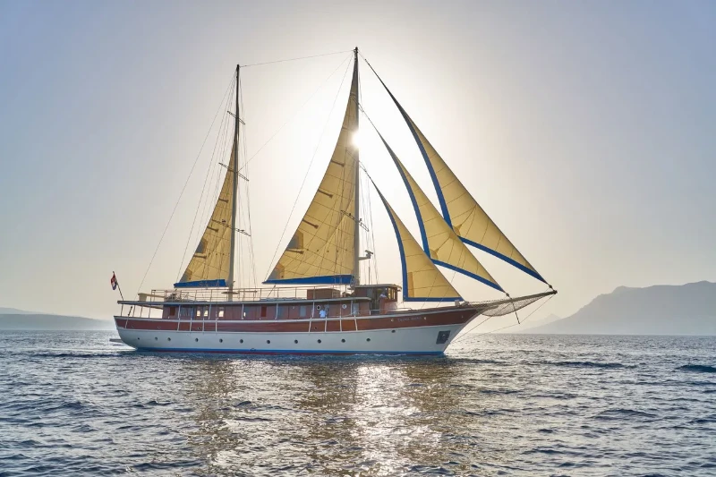 Tajna Mora Tajna Mora boat image