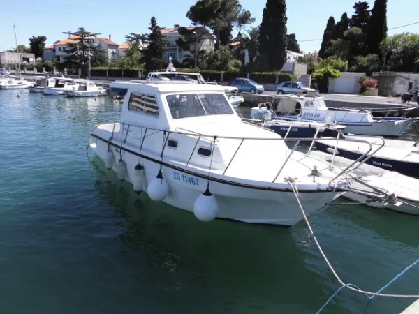 Damor 800 Zadar boat image